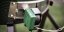 Big Green Egg - EEG Genius