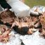 Big Green Egg - Trhací vidlice