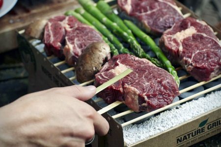 CasusGrill – jednorázový gril na dovolenou