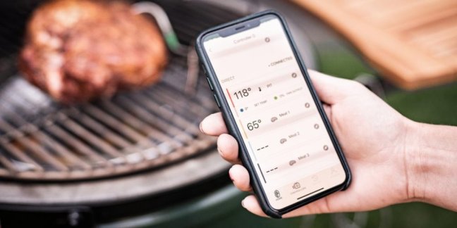 Big Green Egg - EEG Genius