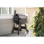 Traeger - Pro 575 (Black)